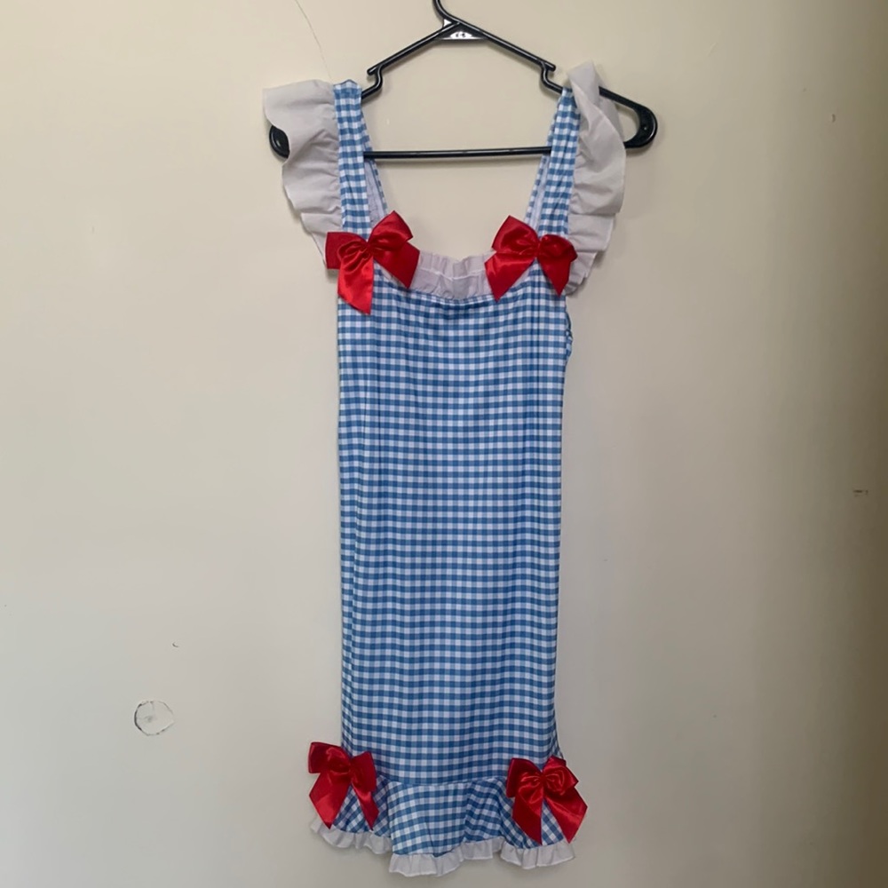 Dorothy Costume